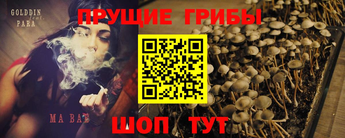 Псилоцибиновые грибы Magic Shrooms  Вход с VPN  Галлюциногенные грибы Psilocybine cubensis  Сунжа 