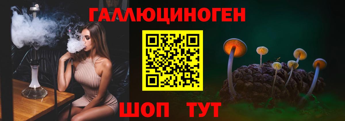 Псилоцибиновые грибы GOLDEN TEACHER Сунжа