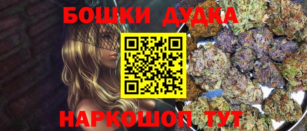 Конопля сатива Сунжа